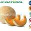 100% natural hami melon powder water-soluble powder