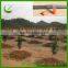 agricultural farm land project drip irrigation system price