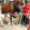 Portable and High Frequency veterinary x-ray machine