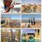 China AC solar powered submersible water pump three phase solar pump china