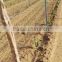 maintenance free re-usable glass fibre vineyard stake