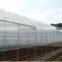 Tunnel greenhouse for flowers