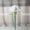 SJ13001116 Artificial clivia flower/silk kaffir lily flores