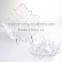 Multi-Functional Clear Leaf Shaped Glass Plates