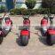 2016 NEW HOT! MANUFACTORY SUPPLY! ELCTRIC SCOOTER, E-SCOOTERELECTRIC BIKE,ELECTRIC MOTO,ELECTRIC MOTORCYCLE