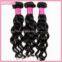 Brazilian virgin loose wave hair