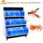 lowes fish shape aquariums / cylindrical glass aquariums