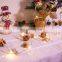 New Design Creative Led Pine Cone Light For Christmas Decoration String fairy lights for home decor holiday lighting