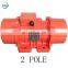 Professional Manufacturer 380V 2Pole 3 Phase Vibration Machine Two Motor For Drill