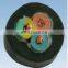 Multicore High Temperature Silicone Rubber Cable
