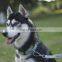 soft and high quality dog collar anti-lost design accept custom pet collar