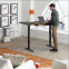 Dual Motor Standing Desk     Electric Standing Desk Dual Motor        Sourcing Height Adjustable Desk