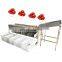 Fruit Vegetable Sorter Potato Small Tomato Grading Production Line Olive Grade Sorting Machine Price