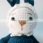 Hot Selling Cuties Bunny Crochet Doll Free Pattern for KID Best Seller 2023 Vietnam Supplier Cheap Wholesale