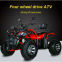250CC 300CC 4X4 4WD driving quad ATV