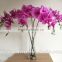 Simulation butterfly orchid pu feel butterfly orchid flowers Single flowers wholesale The sitting room decoration decoration flo