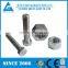 High quality 904L Hex socket bolt 1.4539 Allen bolt