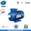 MS Aluminum Housing Three-Phase Induction Motor