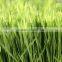 super absorbent polymer powder for agriculture planting