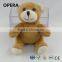 hot excellent quality colorful soft plush teddy bear bouquet