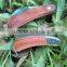 Foldable multifunctional grafting knife