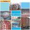 Breathable water resistant polyester fabric