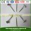 hot sale BWG8~BWG19 galvanized umbrella head roofing nails