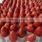 iqf frozen strawberry dice /whole