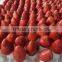 2016 new crop supply iqf strawberry