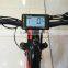 aluminum alloy 350w 36v10ah fat tire elelctric bike