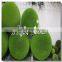 Factory direct sale artificial green moss ball topiary ball for table decor