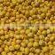 Indian Desi chickpeas high quality Roasted gram, Fried gram, Bengal gram,chenna gram
