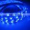 12V white/ RGB waterproof SMD 5m flexible LED strip