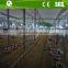 Ground broiler poultry farm equipment