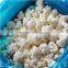 IQF Frozen white cauliflower for sale