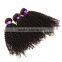  Peruvian Human Hair Virgin Kinky Curly Hair Extensions,Afro Kinky Curly Human Hair Extensions