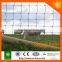 Diamond mesh horse fencing and cattle fence hot sale