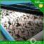 Architectural Engineering 4x8 Etched 304 stainless steel sheets for decoration
