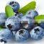 BRC,KOSHER,HALAL frozen semen trigonellae