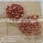 Chinese HACCP Certification long type blanched red skin peanut kernels