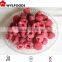 frozen raspberry 2015 best price high quality