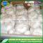 Hot sale fresh pure white garlic