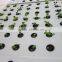 High quality lower energy plastic water trays flow rolling bench for growing
