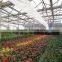 Large Tunnel galvanized Agricultural Greenhouse for Green Vegetables