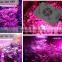 2016 OFF promotions! Led Grow Light 300w 600w 1000W 5 watt Chips Full Spectrum Led Grow Lights