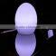 PE material rechargeable led used table light / high quality RGB full color changing egged shaped led table lamp