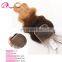 Hot selling top brazilian hair hair closure brazilian hair with closure