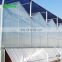 China greenhouses / greenhouse polycarbonate /garden greenhouseLow price