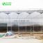 China High Quality &Low Price Polycarbonate Greenhouse