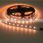 Relight WW/CW/RGB LED flexible strip light IP65 with remote controller